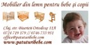 Pfa Cosmovici Andrei