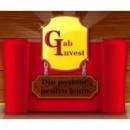 Gabinvest Srl