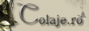 Artcolaj Srl