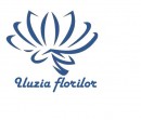 Anturia - Iluzia Florilor