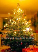 Select Deco