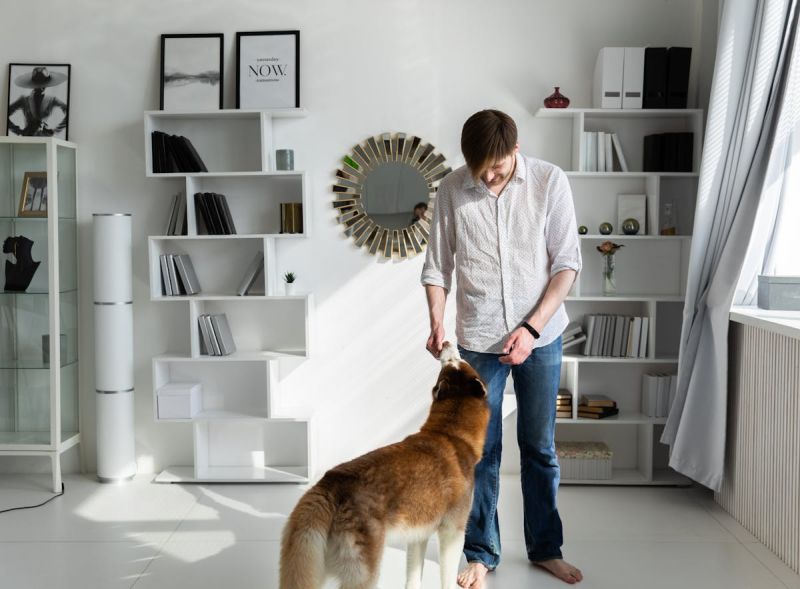 Dezumidificatoare casnice