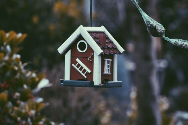 Cele mai de pret 5 sfaturi atunci cand vrei sa ai casa ta