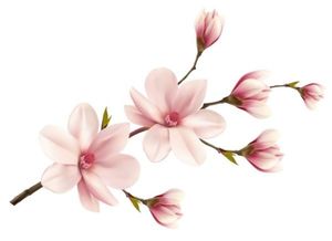 sticker decorativ  37344