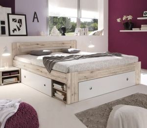 stejar 37556