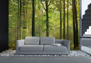 Casa si gradina - magazin